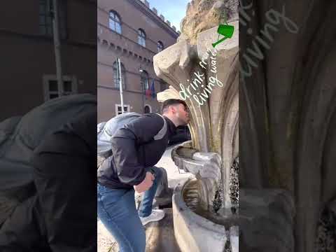 Fontana della Pigna (Fonte da Pinha) Roma, Itália