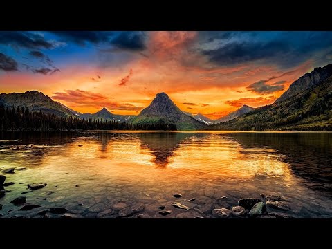 White Rose (Michael Maas & Alina Lesnik).