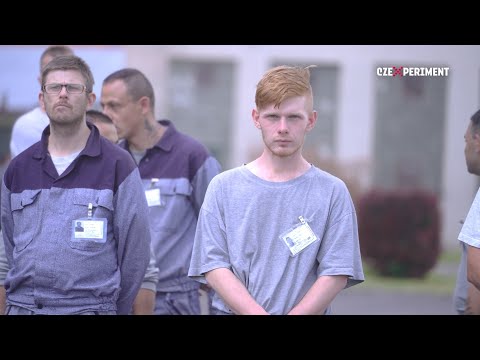 Podpořili jste projekt MUŽI MUŽŮM a dali šanci mužům za mřížemi.