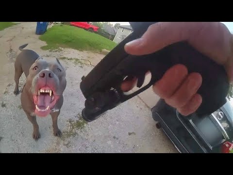 When COPS Had to ATTACK Dogs!