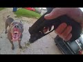 When COPS Had To ATTACK Dogs