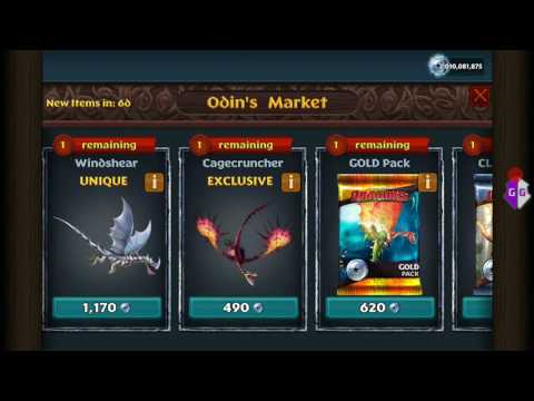 Odin's Market/Dragons rise of Berk
