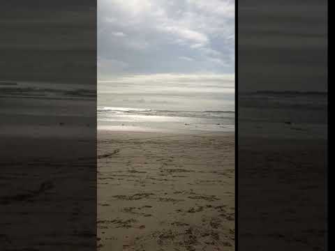 I didn’t think this beach was quite as nice as some others, but it was a pleasant walk. This video shows the bridge that you cross under to get to the beach and the beach itself. We couldn’t hear traffic from the bridge at our campsite, and it was nice to be back behind it as a shield from the wind on the beach.