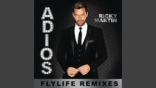 Adiós (DJ Riddler Remix [English Version])