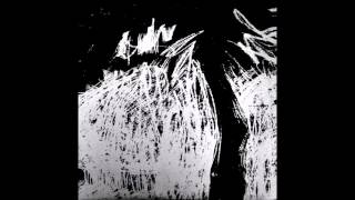 okara - halo of flies