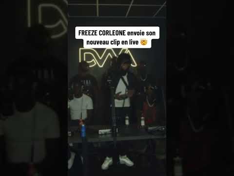 Quand Freeze Corleone balance son nouveau clip en plein live Twitch !