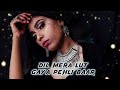 Slowed And Reverb Songs Tote Tote Ho Gaya Dil Tote Tote Hogaya Needits Songs