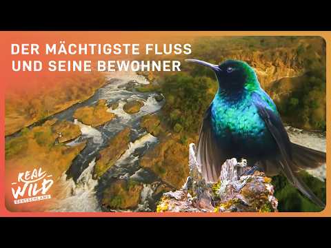 Der Nil: Ein Fluss, viele Kulturen | Zuhause am längsten Fluss der Welt