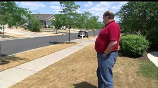 Experts say grass is likely dormant, not dead, so far