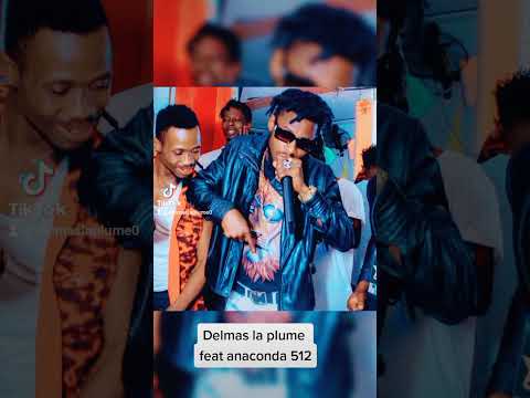 DELMAS LA PLUME feat ANACONDA 512 *on peut faire çà *