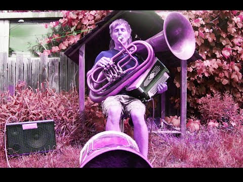 Combo Helicon-Sousaphone-Accordeon - Rare instrument !!!