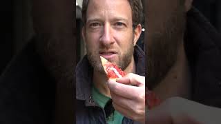 I Was Disgusted By This Pizza