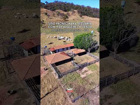 SÍTIO PRONTO PARA PECUÁRIA COM 9,09 ALQUEIRES - GOIANIRA,GO #sitioavenda #agro