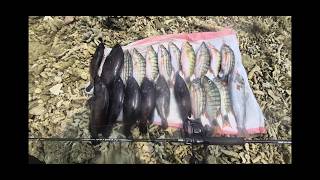 Download lagu puaaaas mancing di spot ini, siapapun bakal strike mancing disini mp3