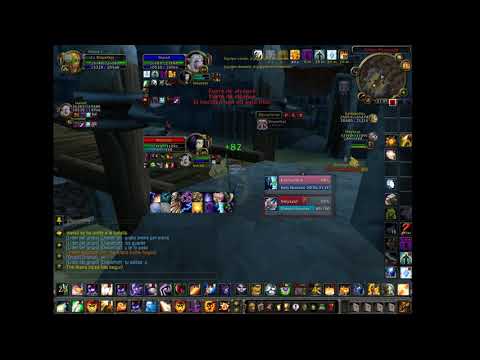 disci hunter vs hpala dk warmane