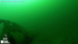 Highline MaST Center Aquarium Live Stream live webcam
