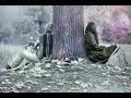 Dil De Diya Hai Shorts Dil De Diya Hai WhatsApp Status