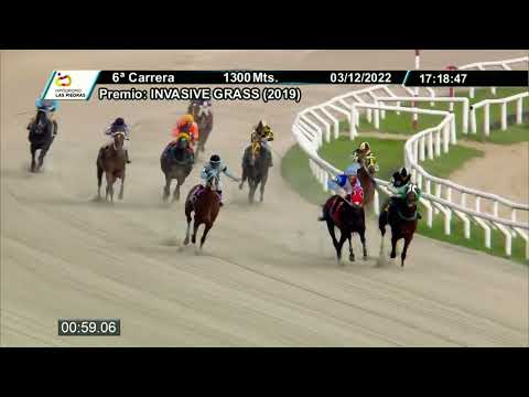 03/12/2022 – Las Piedras Racetrack – Lane 6 – INVASIVE GRASS (2019)