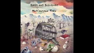 Birds and Buildings - The Dumb Fish