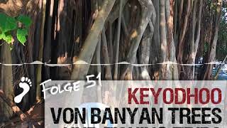 preview picture of video 'Folge 051 - Keyodhoo, von Banyan Trees und Fishing Trips'