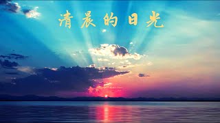 清晨的日光