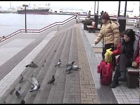 2005.02.07 關西北陸自助旅行 大阪 港區 天保山