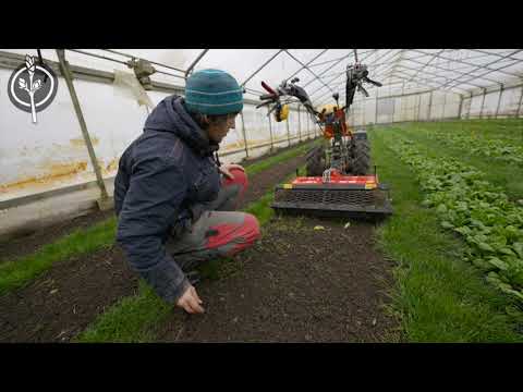 Die Zukunftsbauern - erste Saisonvorbereitungen im Market Garden
