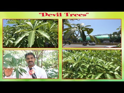 16 Uses of Quilting by Cool Drink కూల్ డ్రింక్ వలన దిమ్మ తిరిగే 16 ఉపయోగాలు,Vizag Vision...