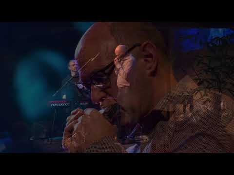 You Don't Know What Love Is