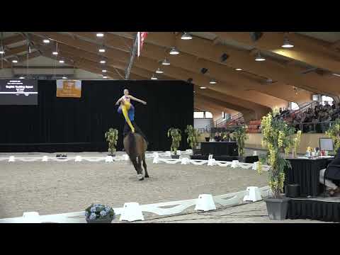English Vaulting Squad final freestyle