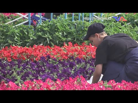 Выпуск программы “День” от 4 августа 2023г.