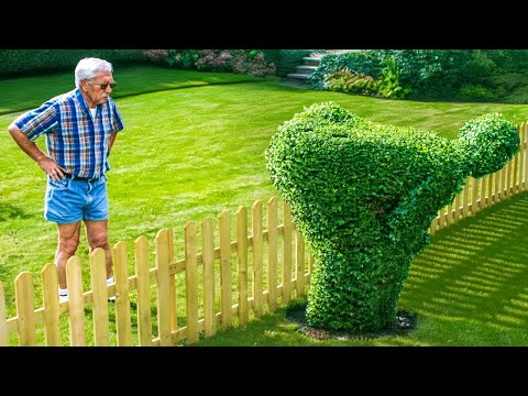 Los Vecinos Más Detestables Captados En Cámara