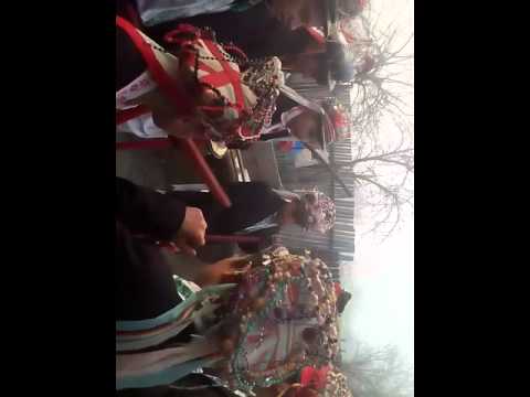 Bujoru crânguri 2015/2016