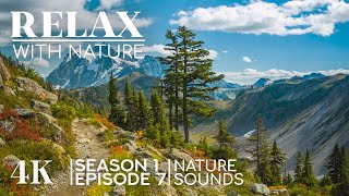 Fascinating 4K Nature Journey Around the World – Ambient Sounds, No Music | Relax with Nature - Ep 7