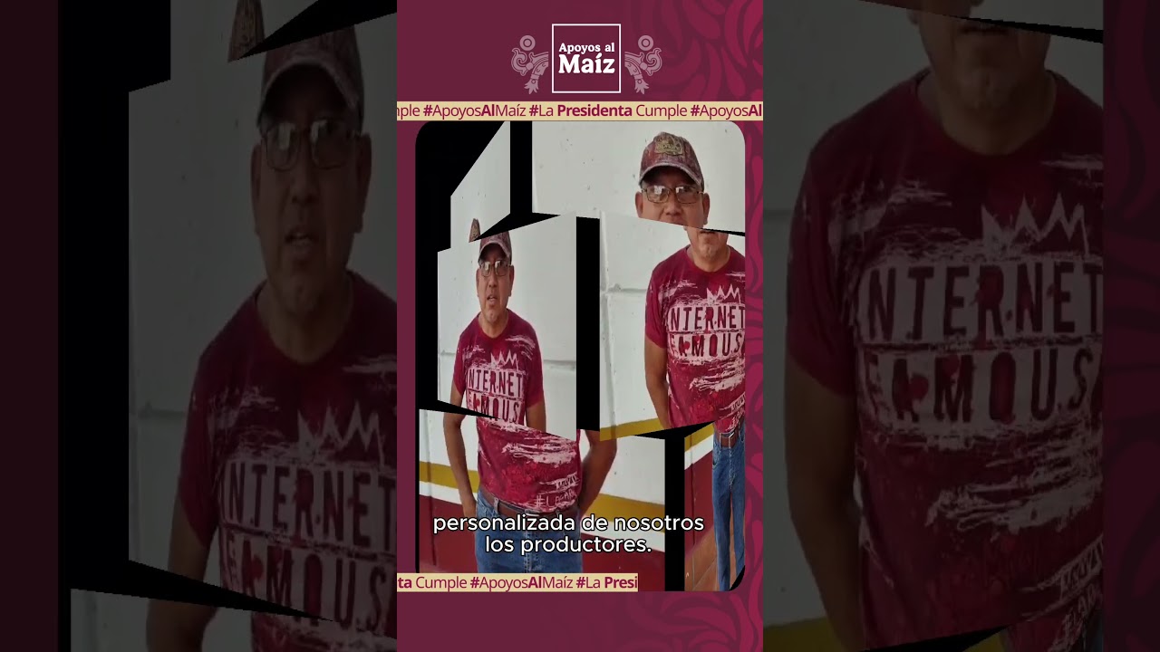 En Campeche se están recibiendo los incentivos de apoyo a la producción de maíz