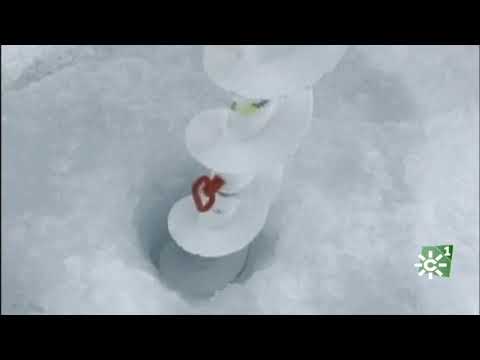 Desafío Ártico, serie documental protagonizada por jóvenes valientes