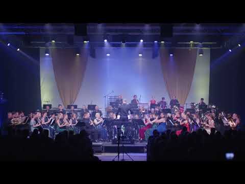 DSWO  How to train your dragon live 2024