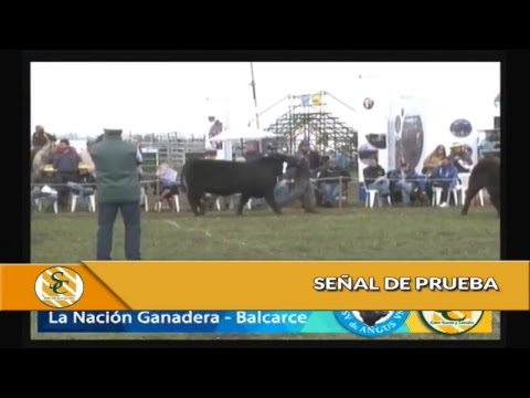 Emisión en directo de entre surcos y corrales