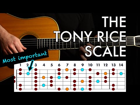 Master the Tony Rice Scale in 4 Steps // Bluegrass Guitar Lesson