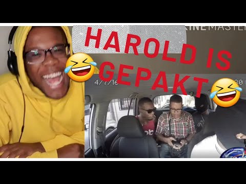 Harold Gessel wordt Gepakt || Hoefie Reacts to Su Content