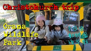 【ニュージーランド】クイーンズタウンで暮らしてた（現在オークランド）日本人家族の旅行クライストチャーチ編。オラーナワイルドライフパーク。動物園後半戦