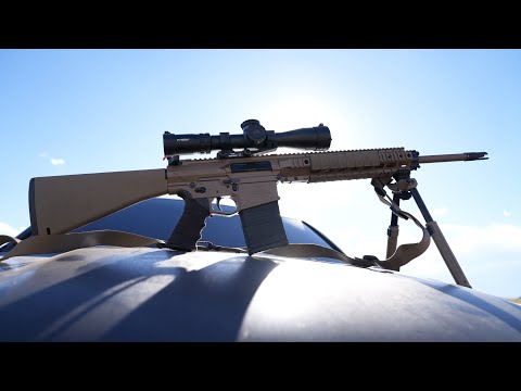 PSA Sabre AR-10 First Shots