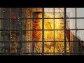 Sa Ne Rugam Catre Maica Domnului 3 Ore De Cantari Si Rugaciuni