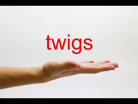 How to Pronounce twigs - American English