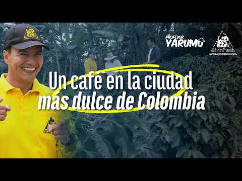 LAS AVENTURAS DEL PROFESOR YARUMO: UN CAFE EN LA CIUDAD MAS DULCE DE COLOMBIA