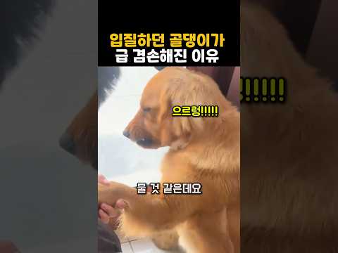 입질하던 골댕이가 급 겸손해진 이유