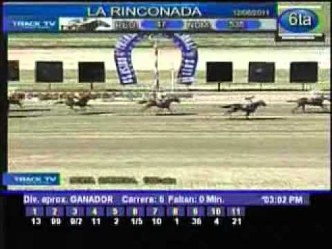 Resumen Domingo, 12 de Junio de 2011 - La Rinconada