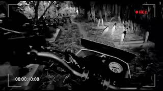 Download lagu Story' Wa ' tresno sudro ' mp3