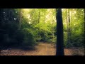 Nightnoise - Something Of Time