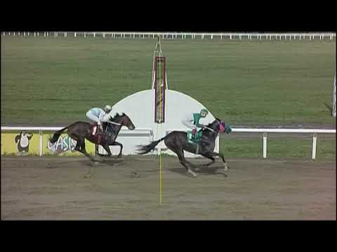 SINT PAYSANDU - 230525 c06 1° TURCOLITO